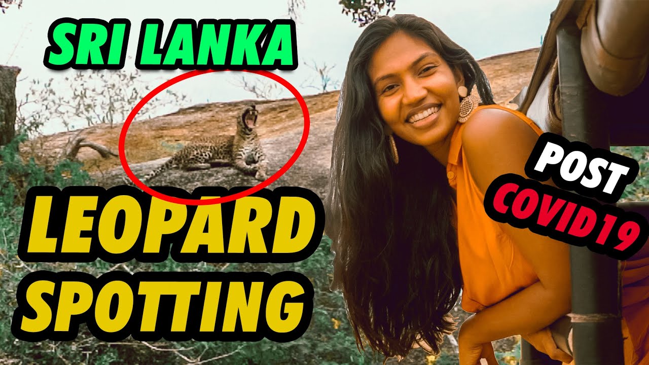 The best hotel in Yala - This Is Sri Lanka