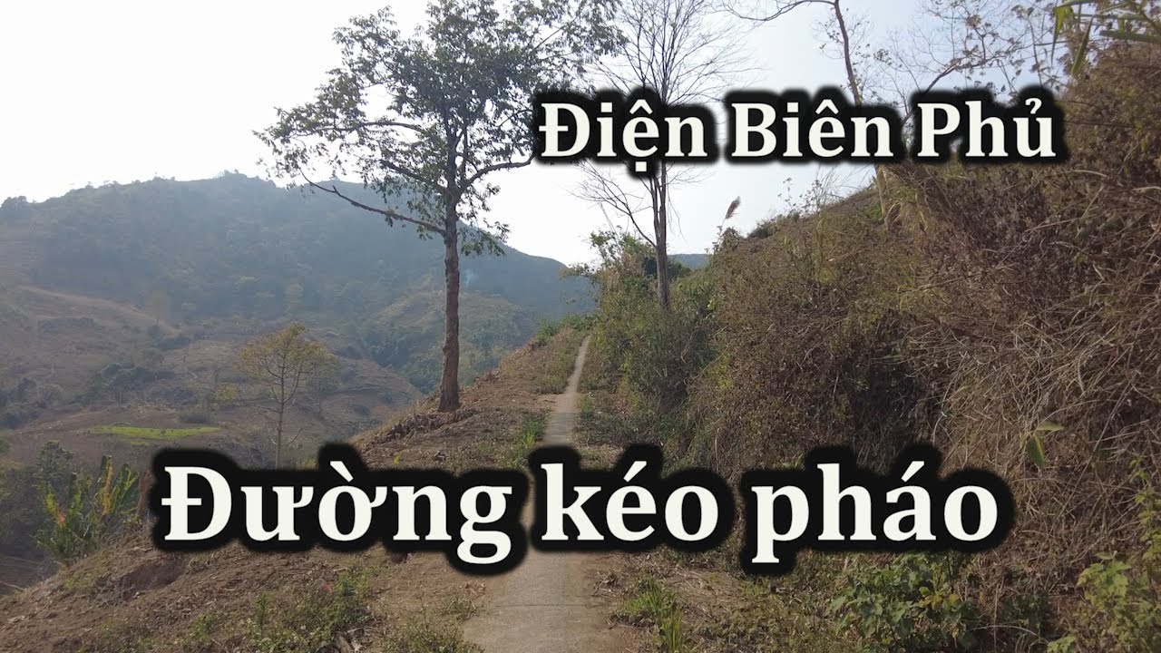 Gian nan con đường kéo pháo trong trận Điện Biên Phủ.