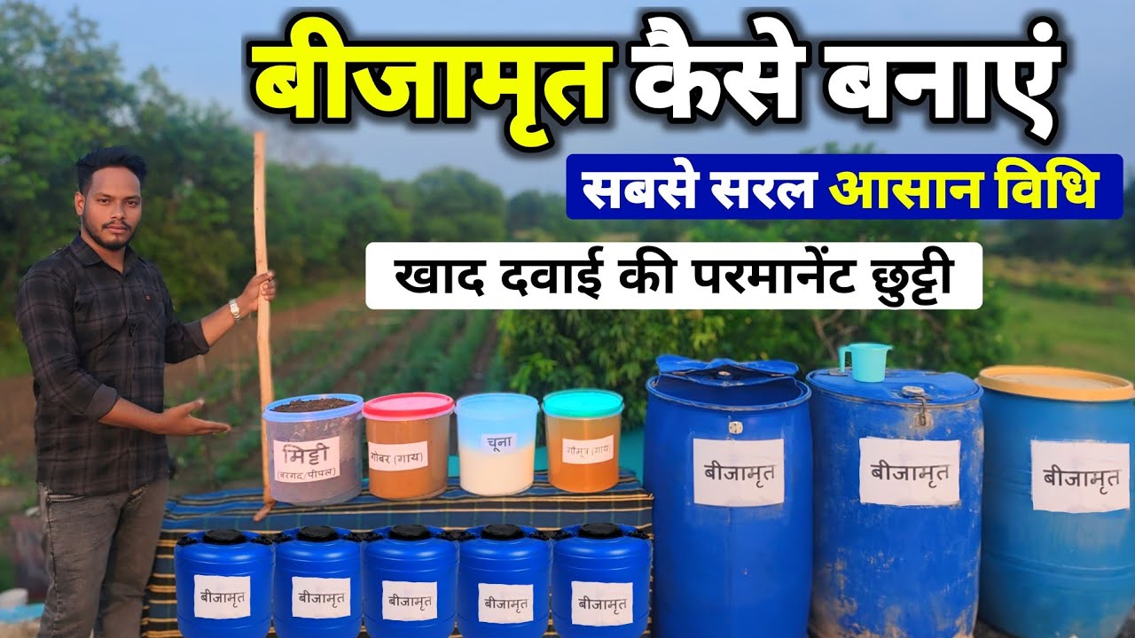बीजामृत कैसे बनाएं🌱Bijamrit kaise banaye🛢️Organic fertilizer | Beejamrut banane ki vidhi