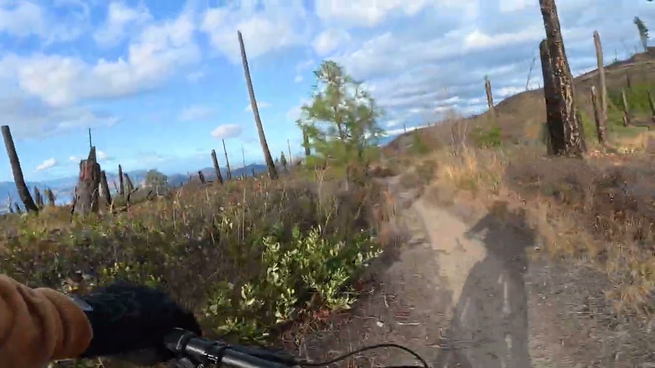 Myra Bellevue Provincial park Connector to Crawford Downhill