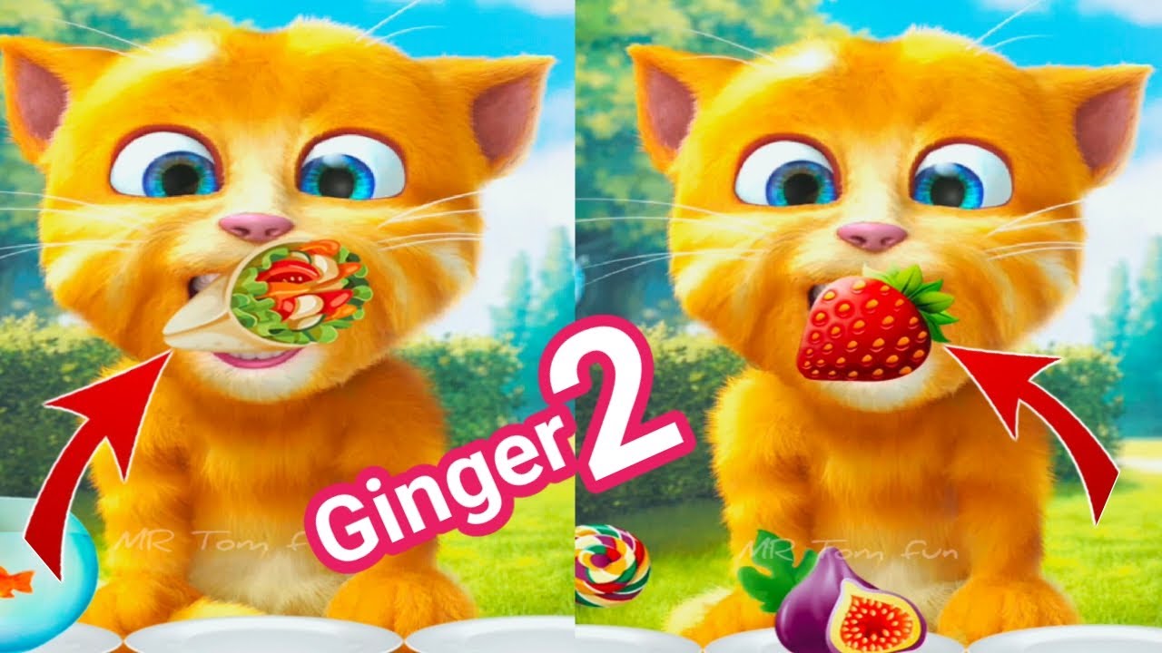 Talking Ginger 2 Eating 🍓🍅🍒🥝 New FOOD | talking ginger game | ginger 2 | ginger |