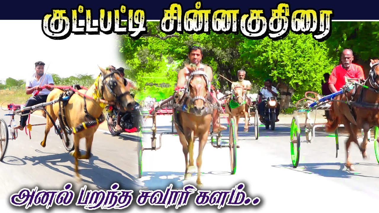 4கரூர்[மா]-கீழாகுட்டப்பட்டி -ஆயிரம்-.04.02.2024