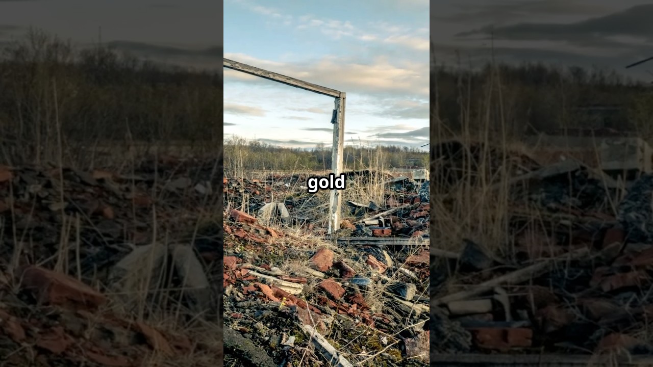 What Becomes Money When Society Collapses?&rdquo; 💰🔥 #SurvivalSkills