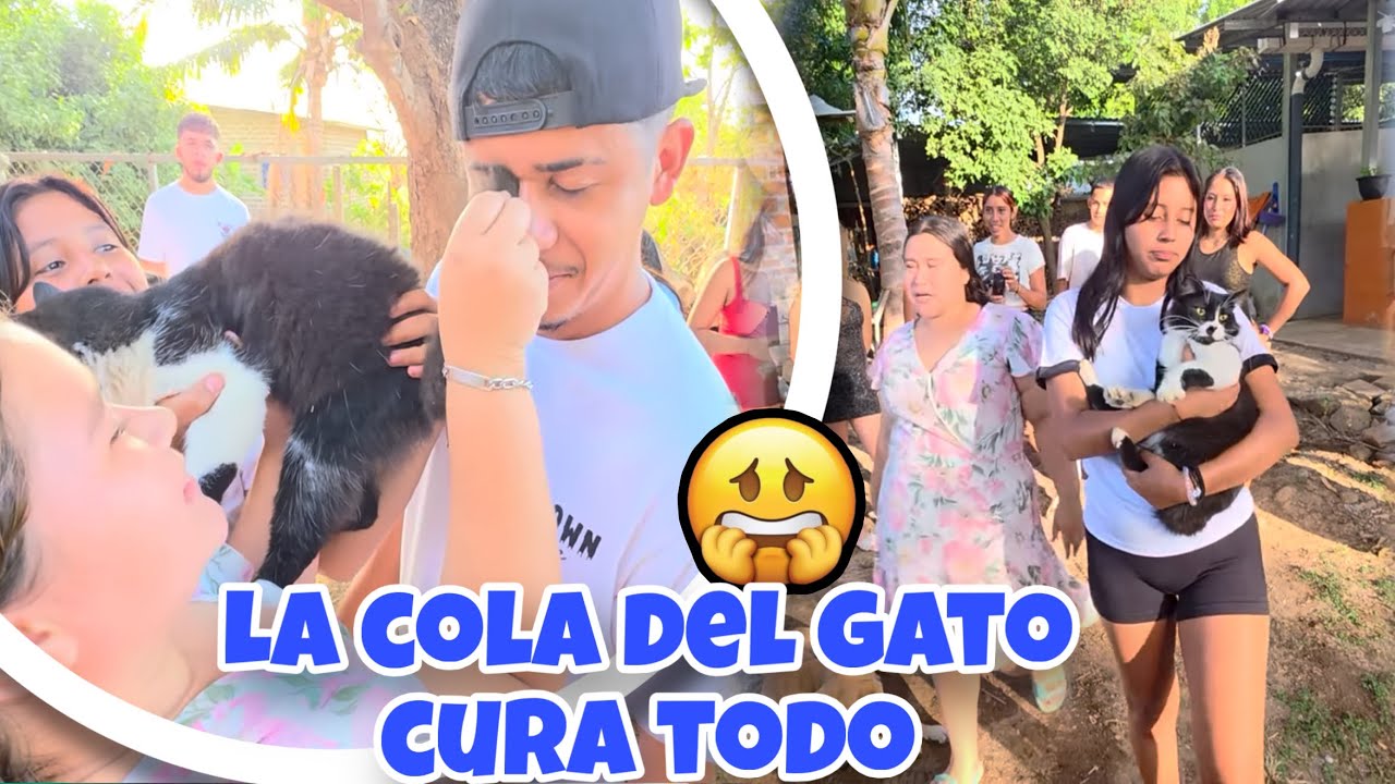 Broca Esta Mal😥Y Nano le hizo Este Remedio Casero😅El Del Gato 
