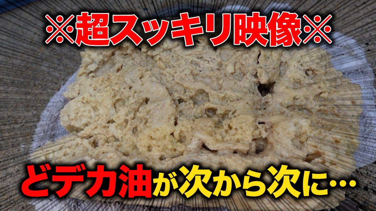 ドデカ油がゴッソリ！配管の中の油は想像以上に巨大だった【花のお掃除 #453】