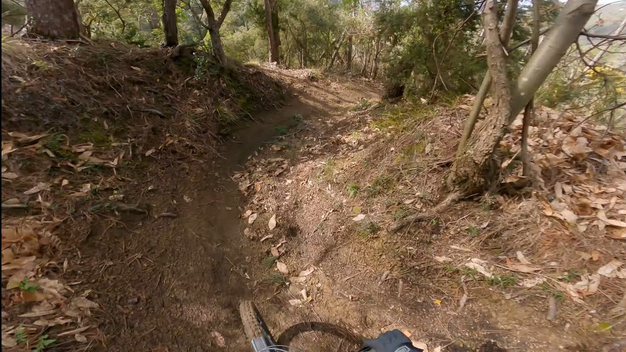 Il Colle - Camaiore Trail Area