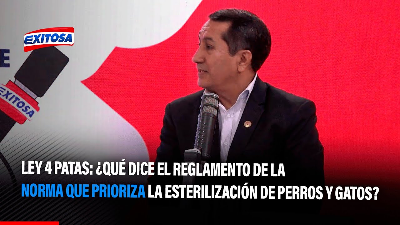 🔴🔵Ley 4 Patas: ¿Qué dice el reglamento de la norma que prioriza la esterilización de perros y gatos?