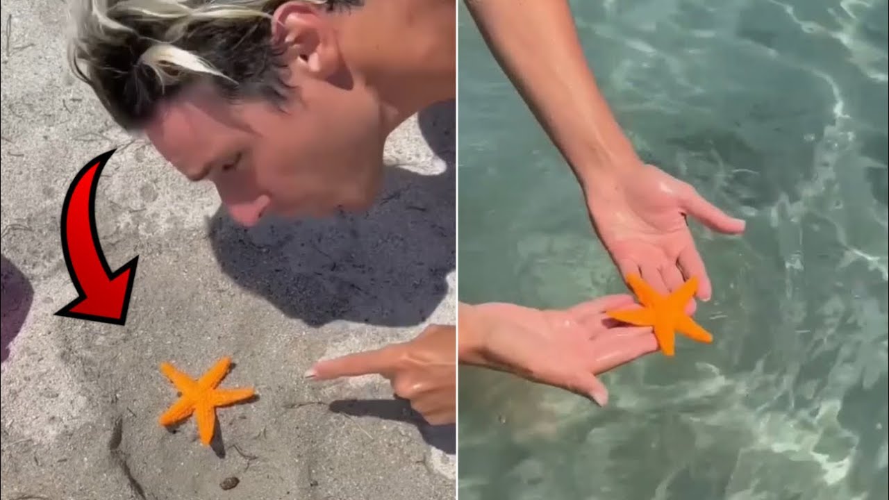 AIUTIAMO UNA STELLA MARINA IN PERICOLO&hellip;😰😢