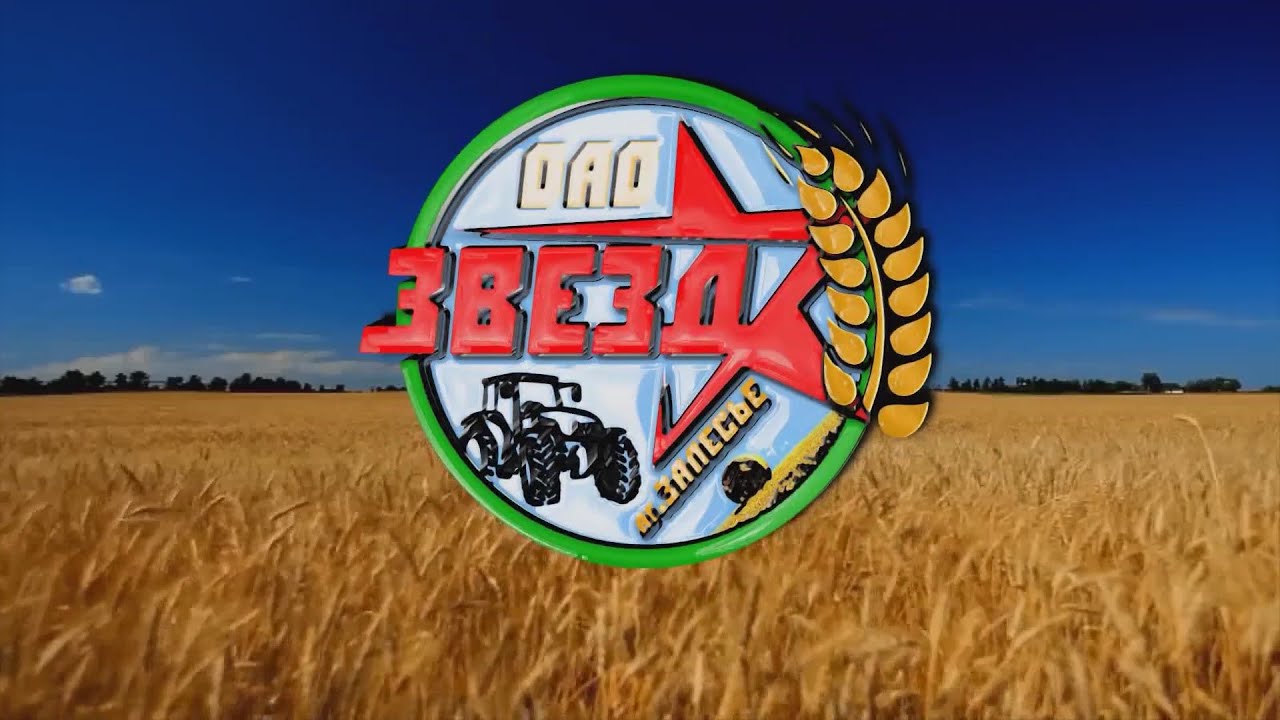 ОАО ЗВЕЗДА