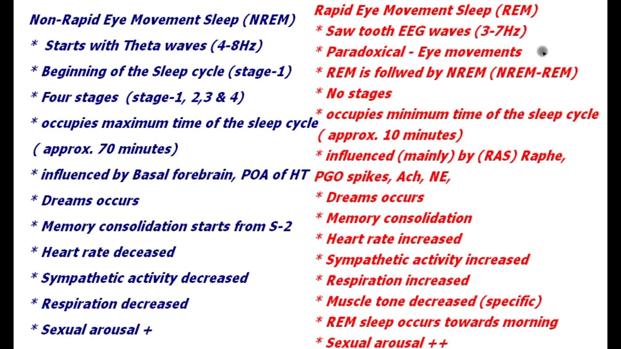 NREM vs REM sleep
