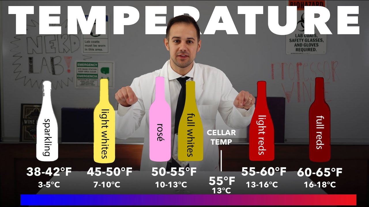 The Proper WINE Serving Temperature? These Quick Tips will HELP You!