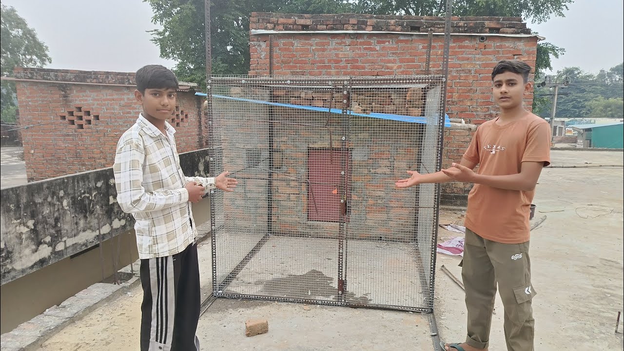  Kabutaro Kai Loft Mein Jali laga diya 😄🕊️