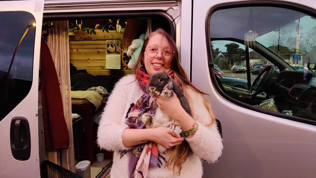 New VAN TOUR of my self build van conversion with a bunny and two guinea pigs - solo female vanlife