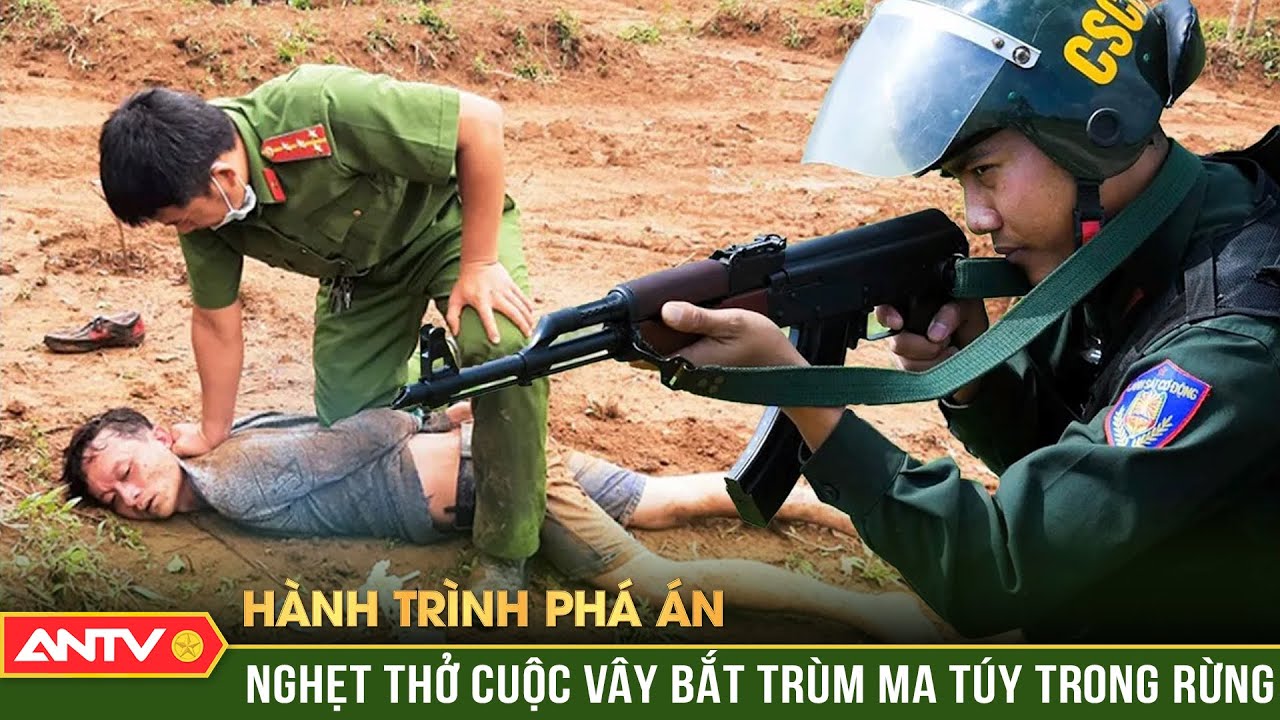 Trinh sát “nhập sào” bắt trùm ma túy ẩn náu nơi rừng thiêng nước độc | Hành trình phá án | ANTV