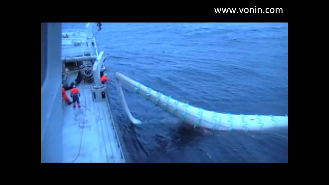 m/v Fagraberg - Good catch of Blue Whiting