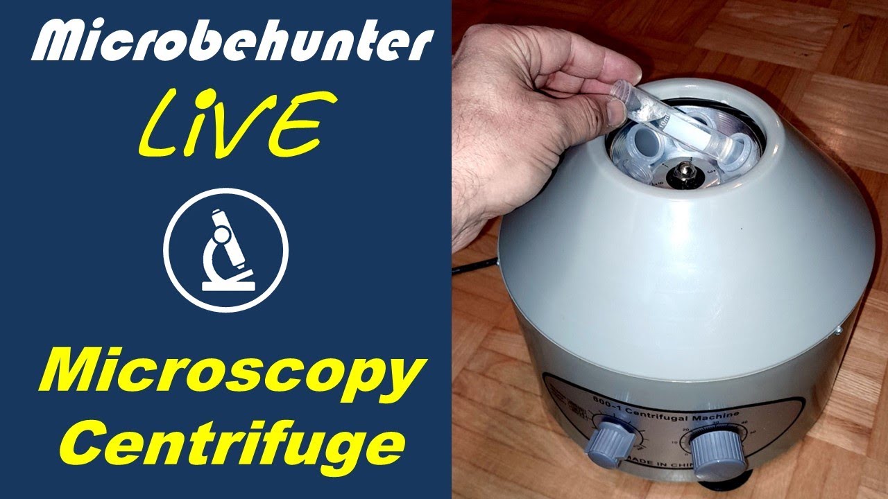 Using a Centrifuge to concentrate Specimens for Microscopy