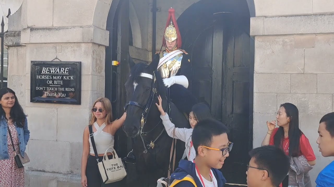 KINGS GUARD SHOUTS AT  TOURIST with hands every  we're get off the rein  #horseguardsparade