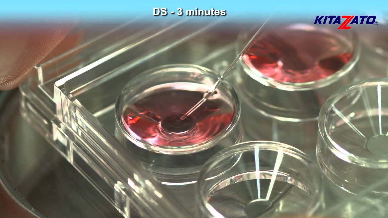Kitazato Cryotop&reg;SC Oocyte Thawing - Closed System