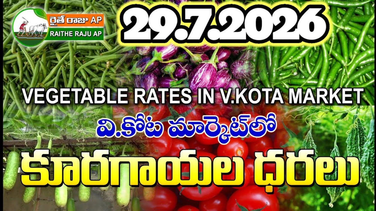 #AMC V.KOTA TODAY BEANS PRICE IN MARKET #ALL VEGETABLE PRICES #marigold 