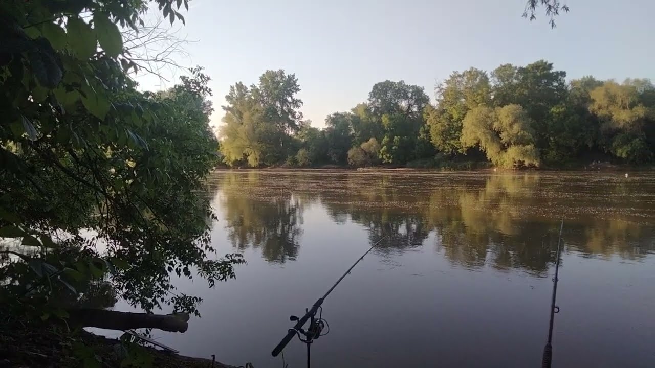 Vadvizi Horgászat. Maros-Folyó. Makó.
