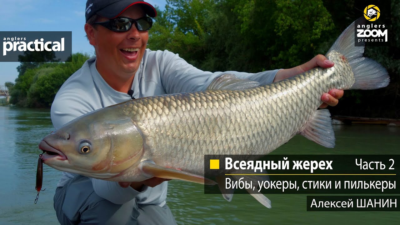 Всеядный жерех. Вибы, уокеры, стики и пилькеры. Алексей Шанин   Часть 2. Anglers Practical