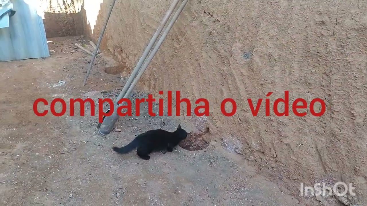 começamos construir nossa cozinha caipira, Deus no controle.