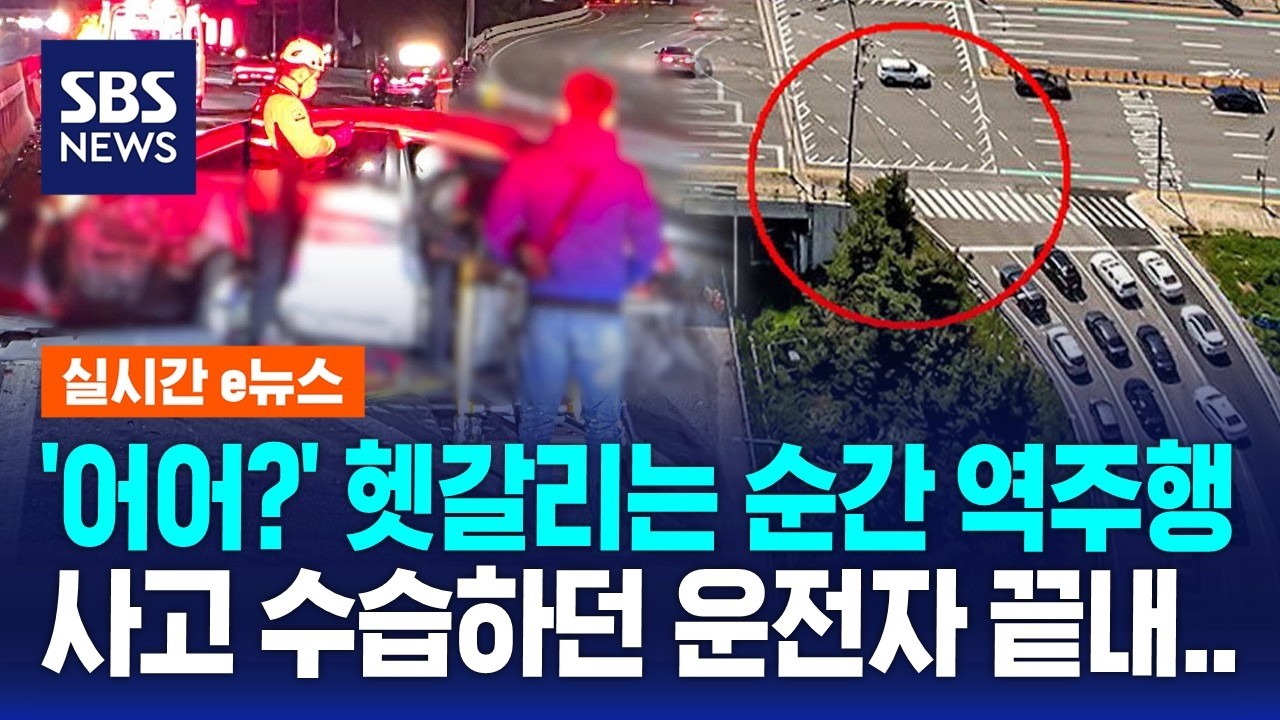'어어?' 헷갈리는 순간 역주행..사고 수습하던 운전자 끝내 / SBS / 실시간 e뉴스