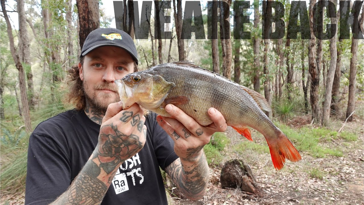 We Are Back! | BIG Redfin Perch
