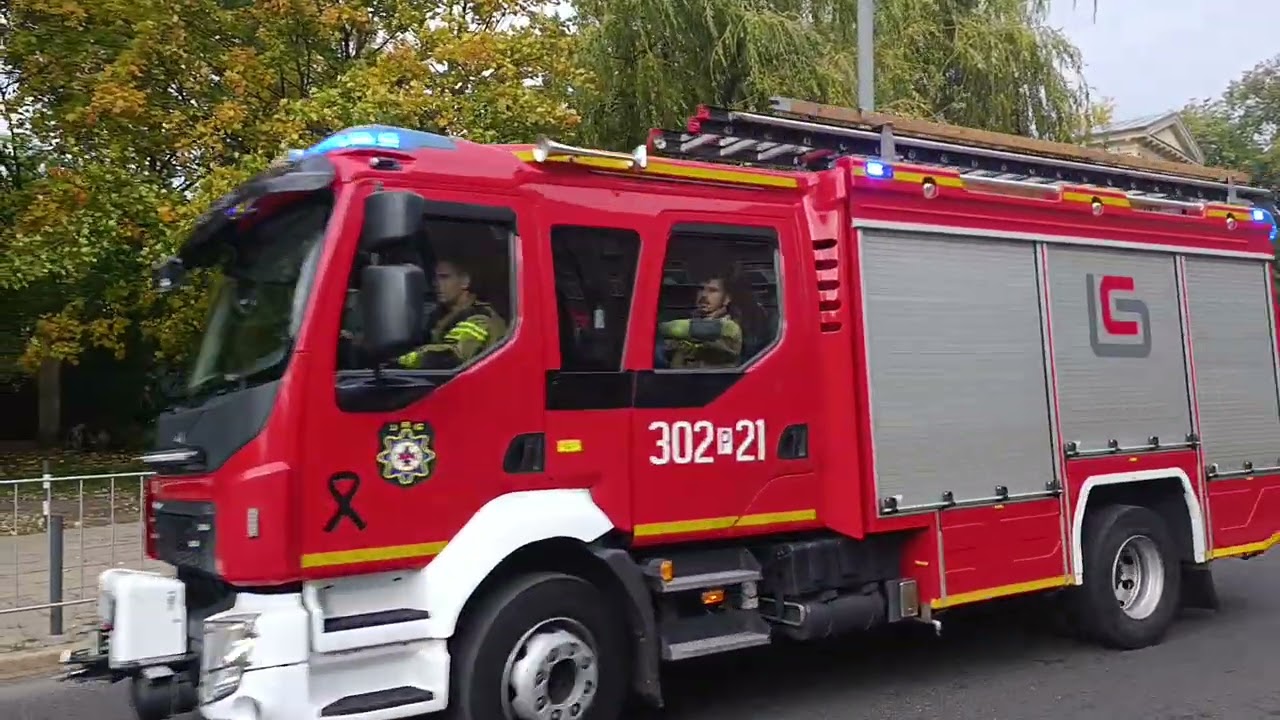 Wyjazd alarmowy jrg 2 Poznań 302[P]21 302[P]51 do uwięzionej osoby na drzewie 