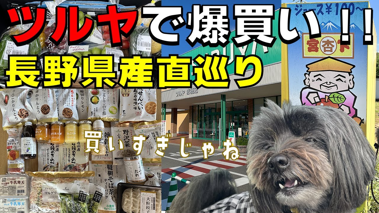 【犬と信州旅Vlog】ツルヤで爆買い！産直巡りでシャインマスカット食べ比べ＆規格外りんごが300円！？愛犬と巡る南信州グルメ旅