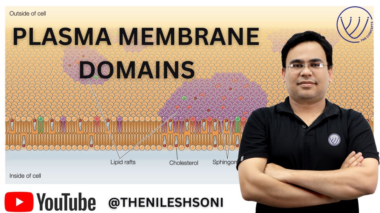 PLASMA MEMBRANE DOMAINS | CELL BIOLOGY COMPLETE UNIT | CSIR NET LIFE SCIENCE | NILESH SONI