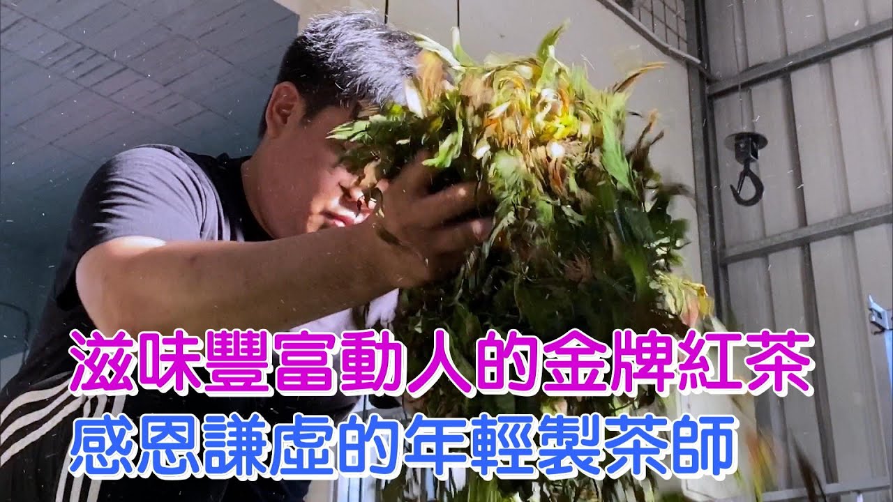 苦學發光金牌製茶師(莊鎔璞) 一步一腳印 20201129