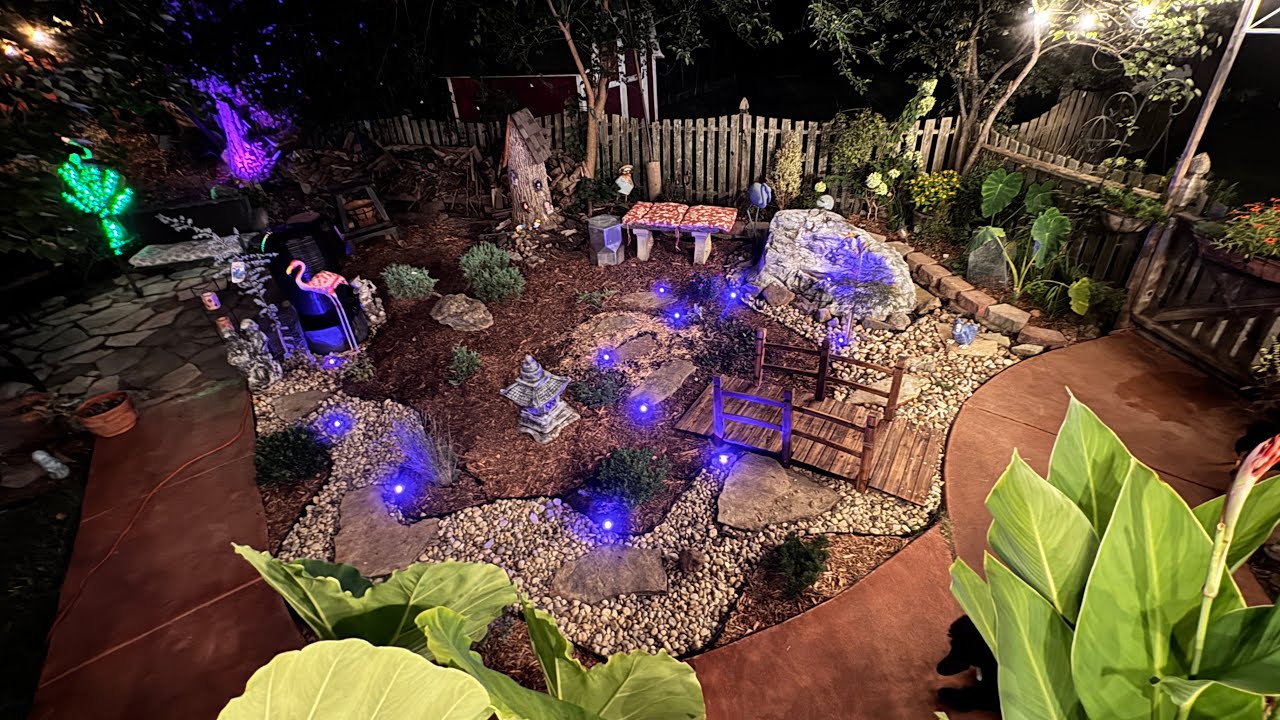 Transforming my bored lawn into the Japanese garden. Part2. August 31, 2025