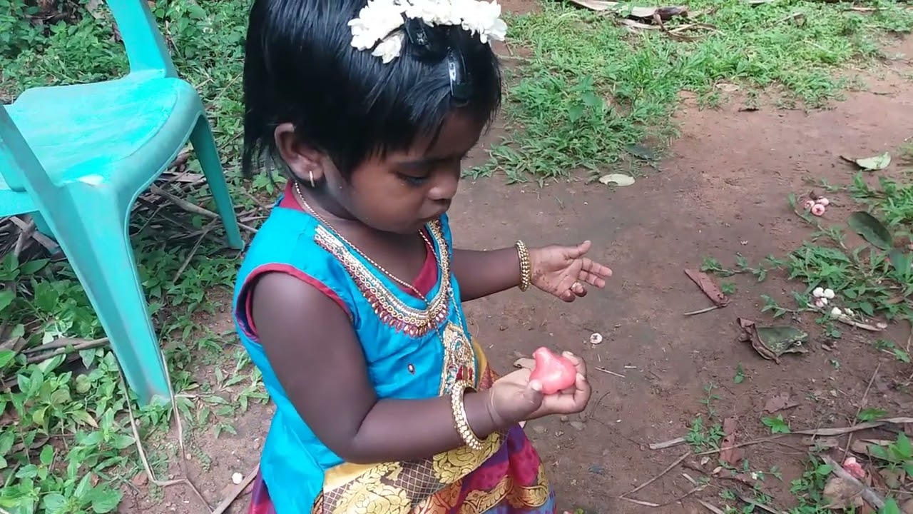 Cute Baby Harvesting Water Apple, collecting and cleaning