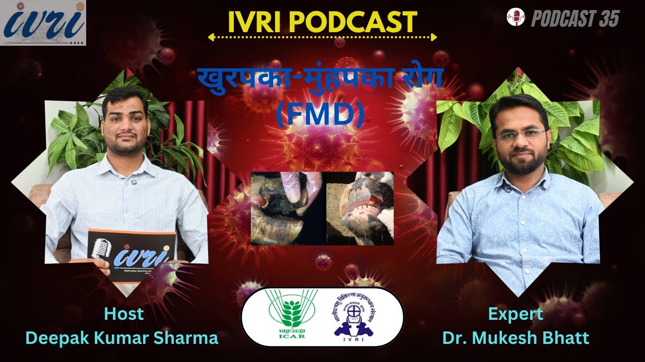 खुरपका-मुंहपका रोग || Foot and Mouth Disease (FMD) || Podcast 35