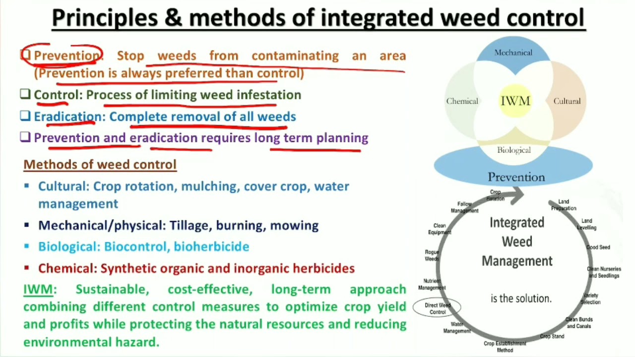 Principles and Methods of Integrated Weed Management #Integratedweedmanagement #weedcontrol