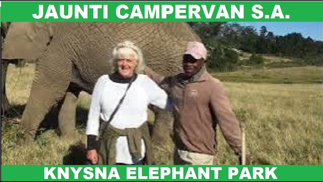 Knysna Elephant Park Garden Route Jaunti Campervan Trip Fulltime Travel #288