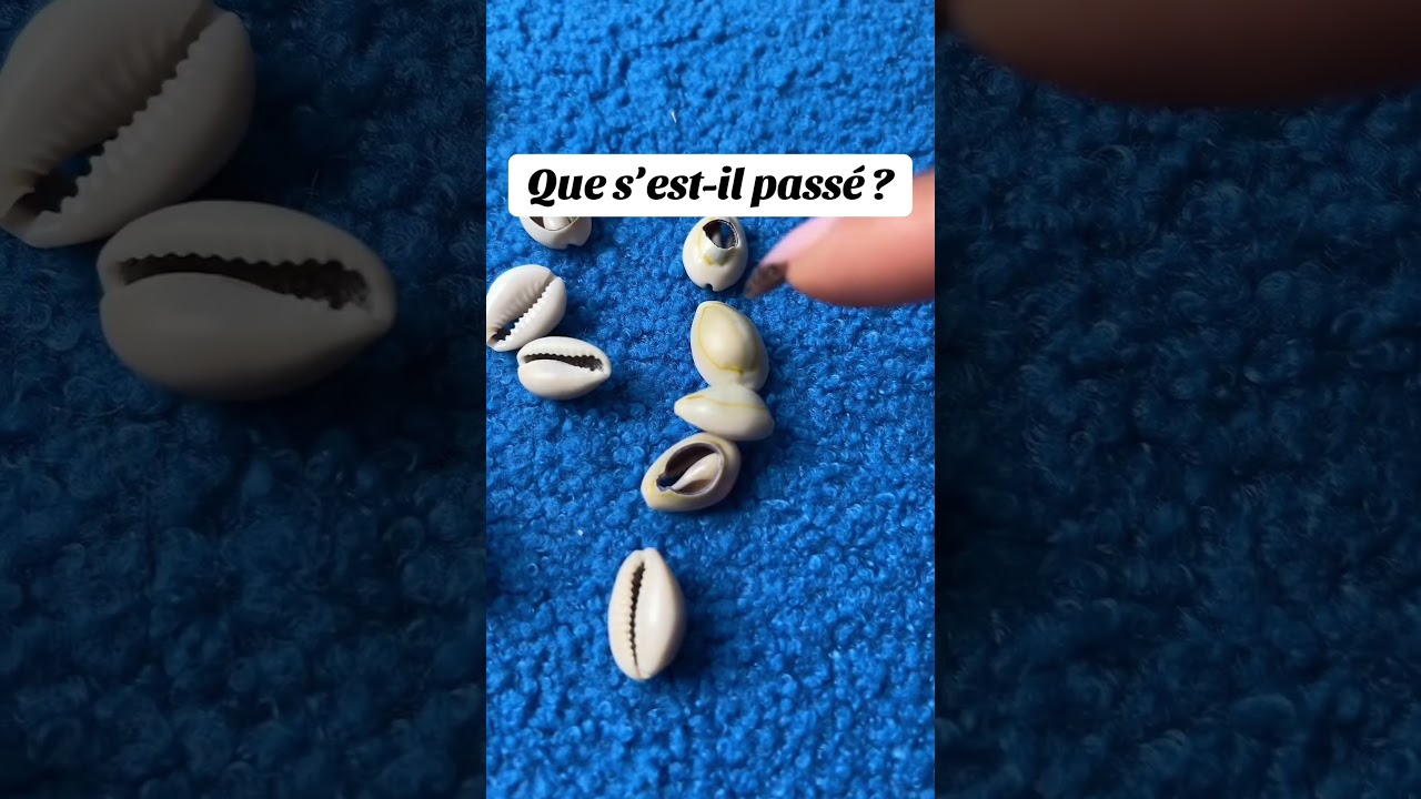Le karma fait son effet #cauris #divination ￼