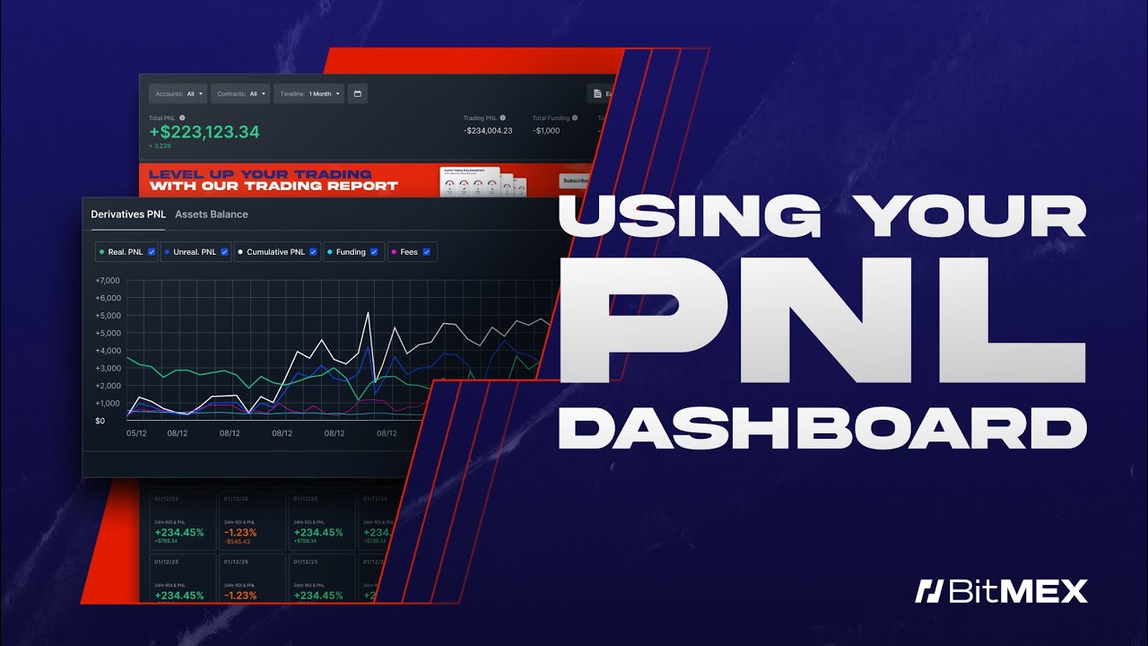 The BitMEX PnL Dashboard: Your Trading Performance in One Glance