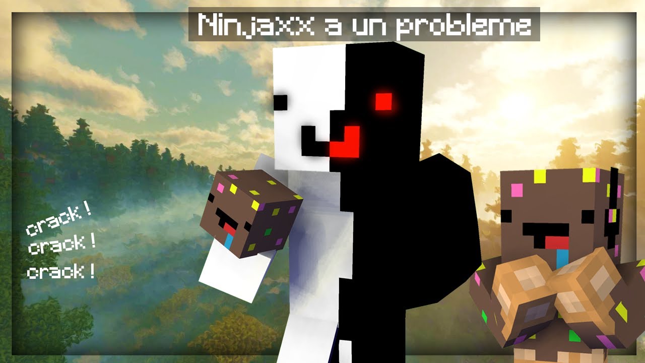 Ninjaxx va avoir un gros problème ! (vraiment)