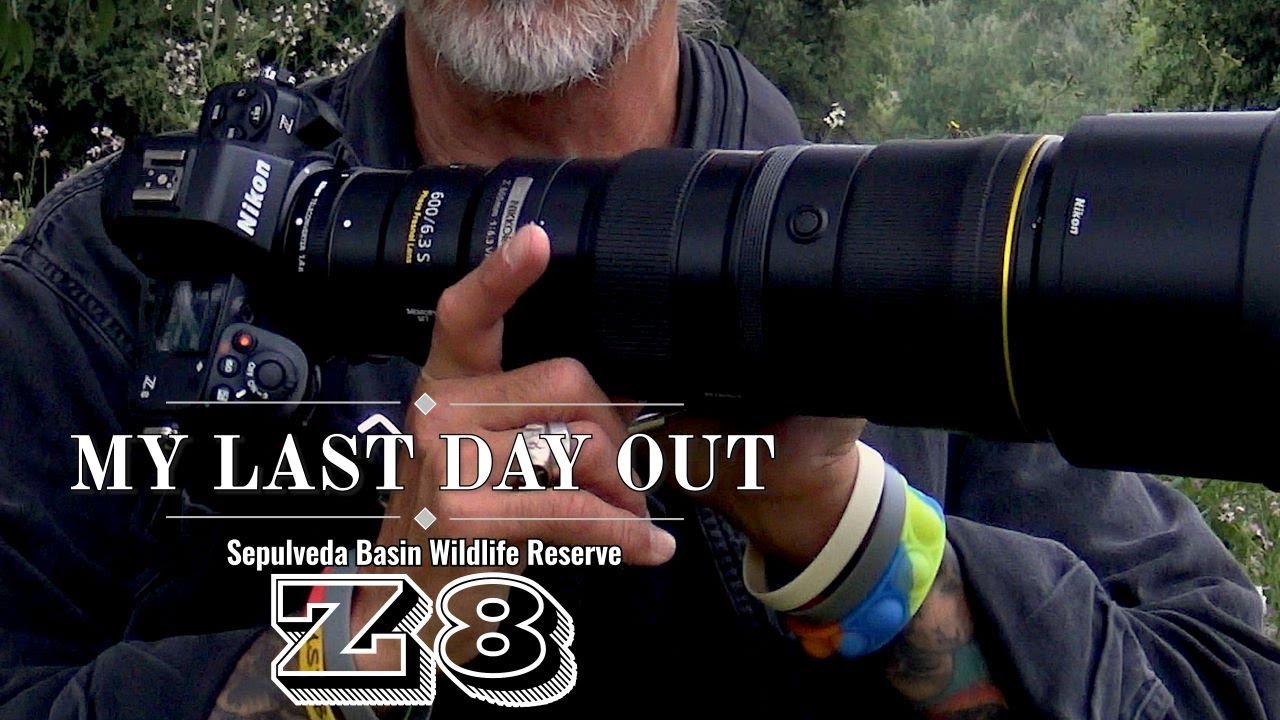 My last day out with Nikon's Z8 at Sepulveda Basin Wildlife Reserve. The focus is really AWESOME!