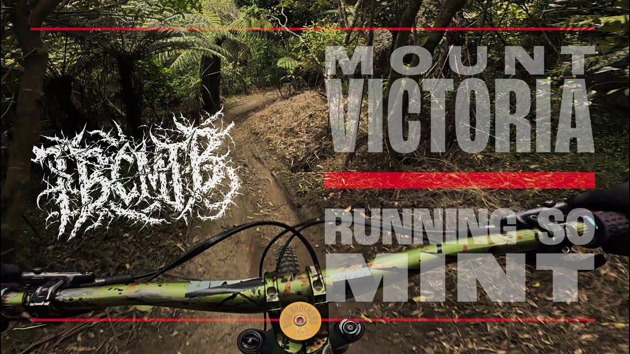 MTB // Super Fun & Prime Conditions // Mt. Victoria, WGTN, NZ