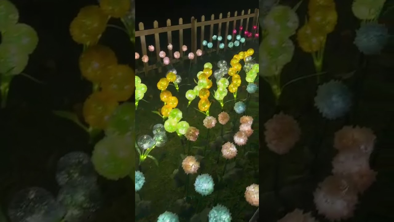مشوار الى مهرجان ليالي مسقط 😍❤️