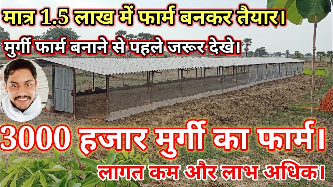 मात्र 1.5 लाख रुपए में 3000 मुर्गी रहने वाली फार्म।बिहार के गोह में देसी,ffg,कड़कनाथ मुर्गी फार्म।