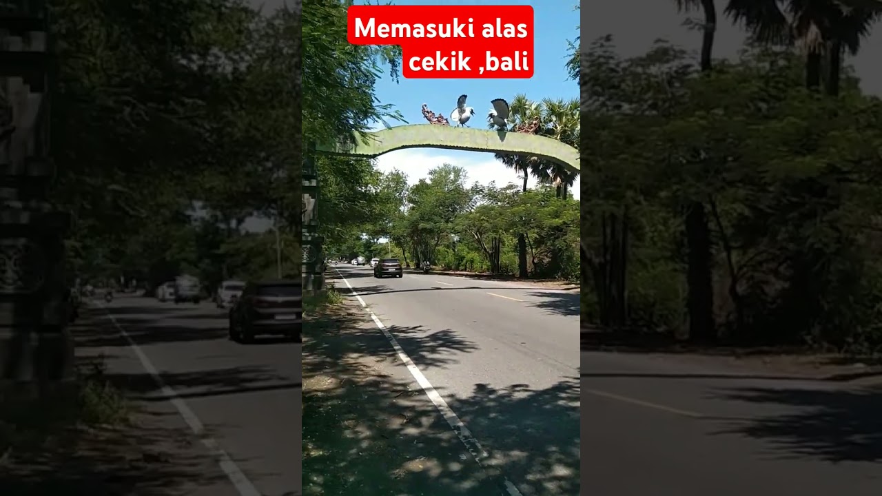 alas cekik bali
