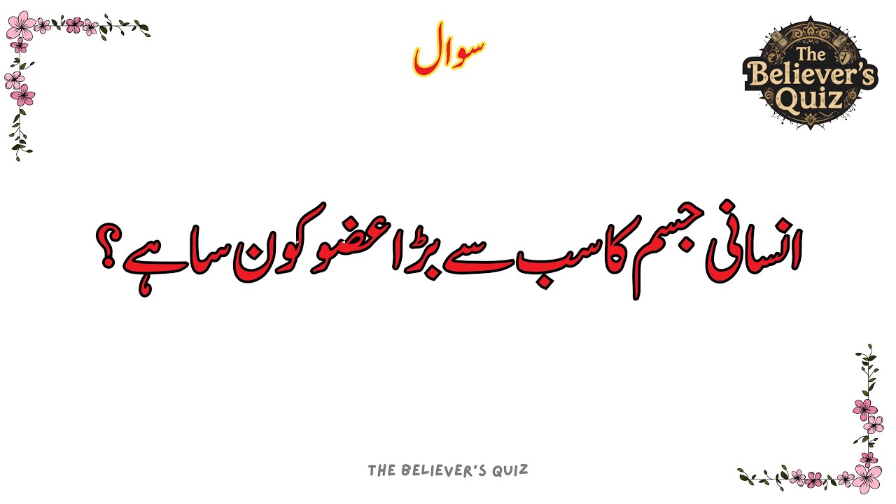 General Knowledge | Islamic Sawal and Jawab | #TheBelieversQuiz