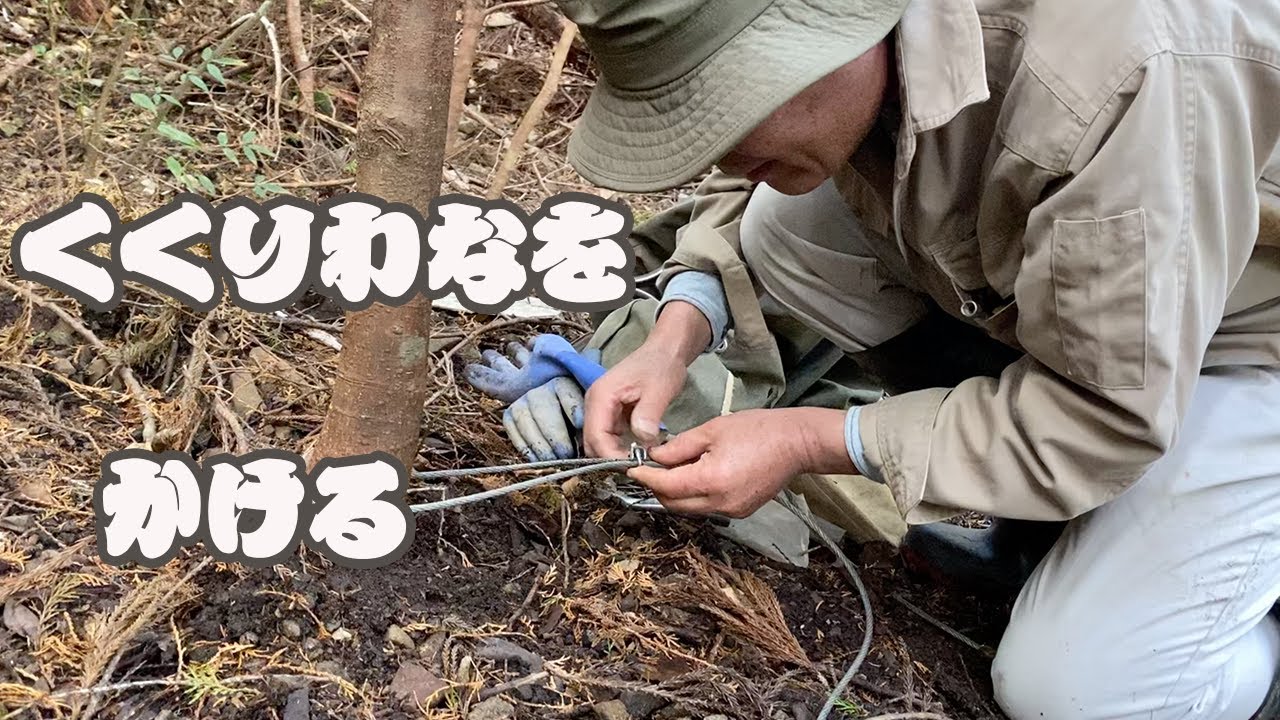 【ジビエ】わなをかける