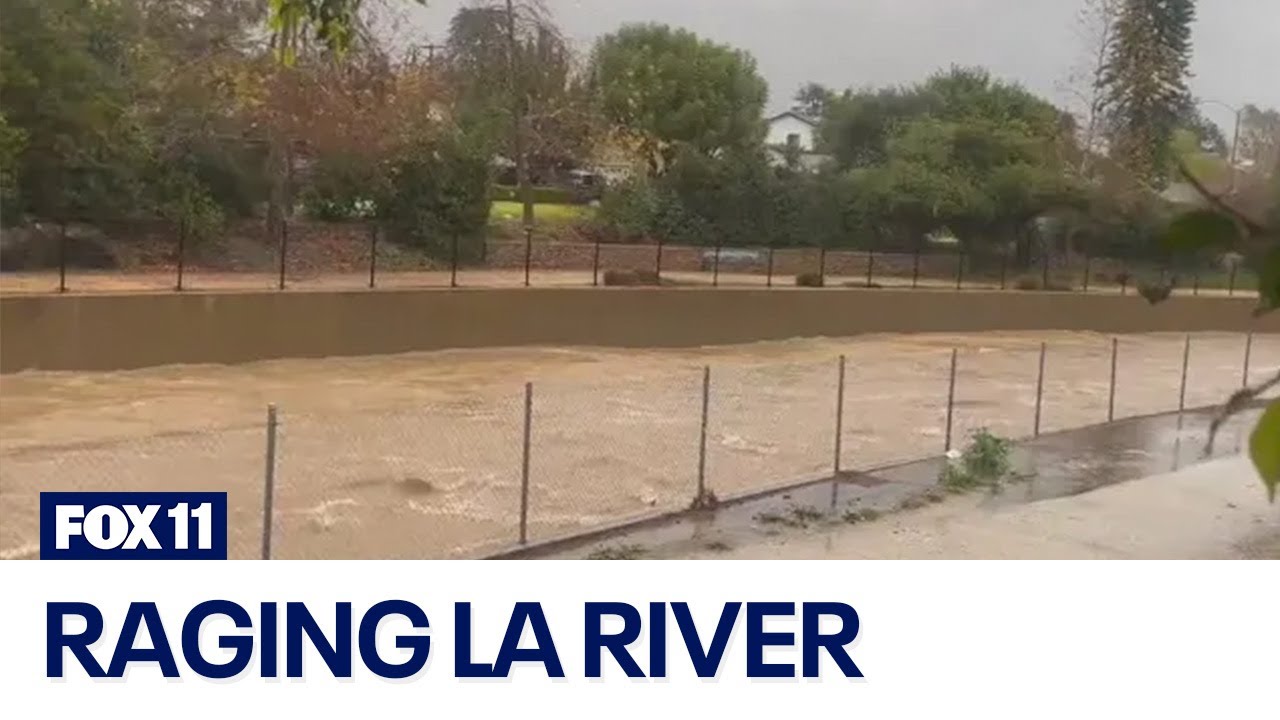 LA River rages after heavy rain