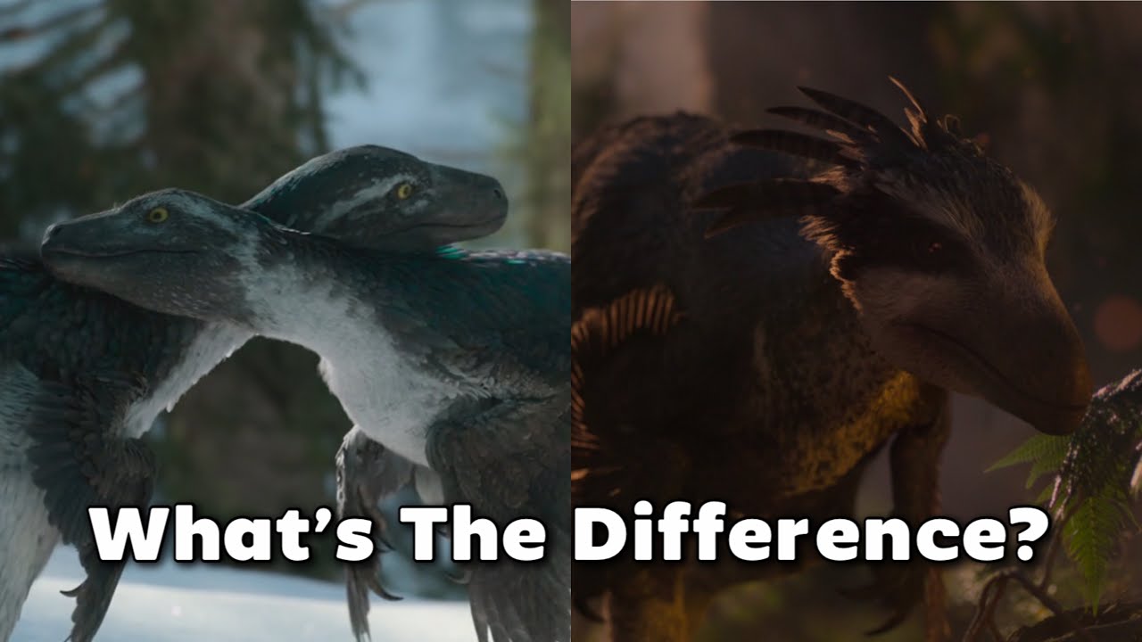 What&rsquo;s The Difference: Dromaeosaurids and Troodontids