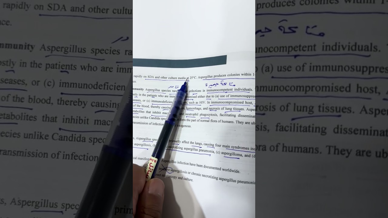 شرح محاضرة الفطريات ال 13 مرحلة ثالثة مختبرات طبية وزاري ٢٠٢٦ /الاستاذ مسلم عقيل 